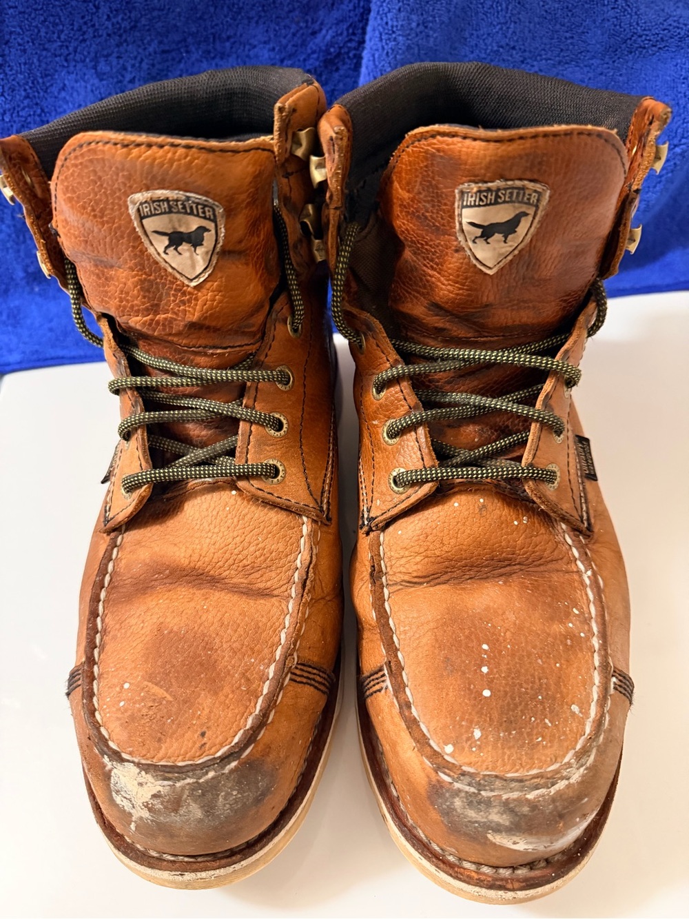 Irish Setter Men's Wingshooter ST 8" Waterproof Safety Toe Boot (Style #83632)